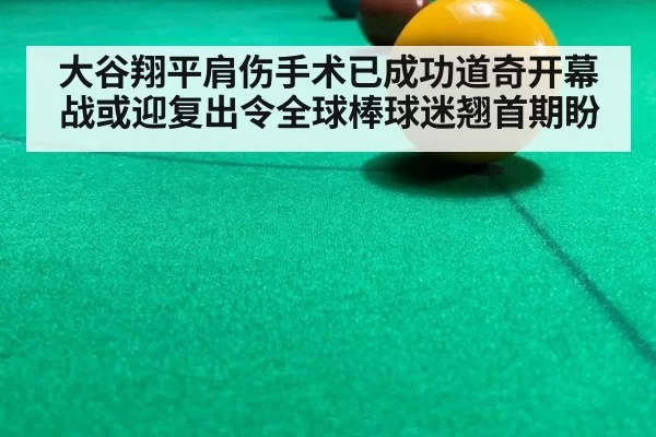 大谷翔平肩伤手术已成功道奇开幕战或迎复出令全球棒球迷翘首期盼