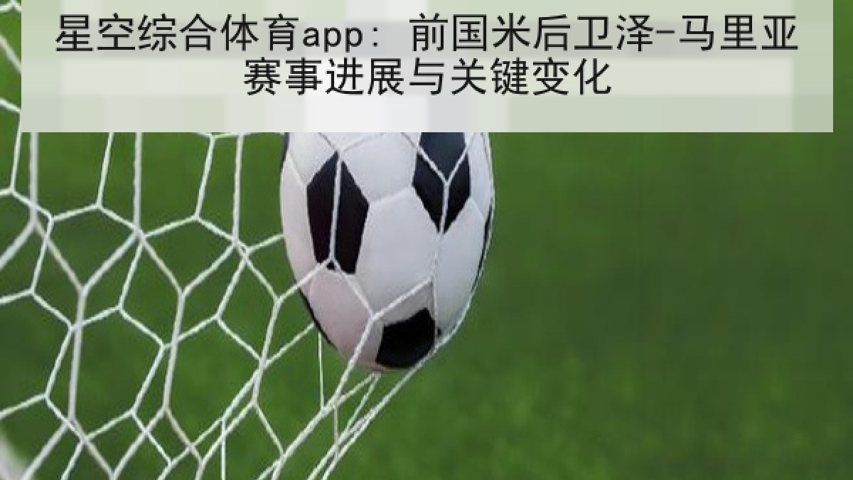 星空综合体育app: 前国米后卫泽-马里亚赛事进展与关键变化
